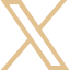 logo red social x